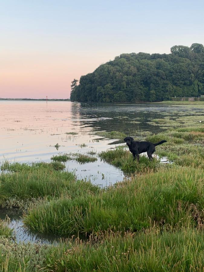 Dylan Thomas Sea View Panzió Laugharne Kültér fotó